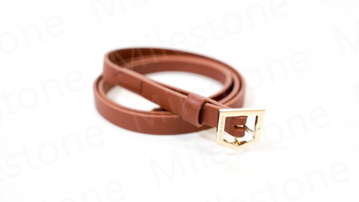 Belt 040