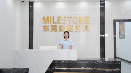 The Reception Desk