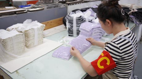 Embroidery Inspection