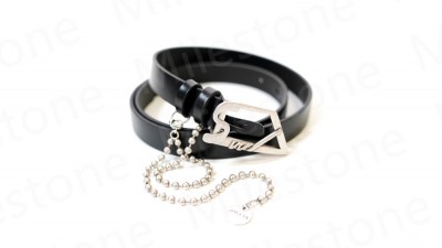 Belt 041