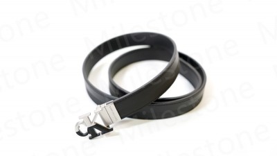 Belt 043