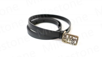 Belt 042