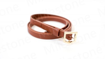 Belt 040