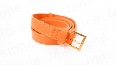 Belt 039